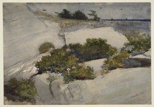 Kliffen van Maine